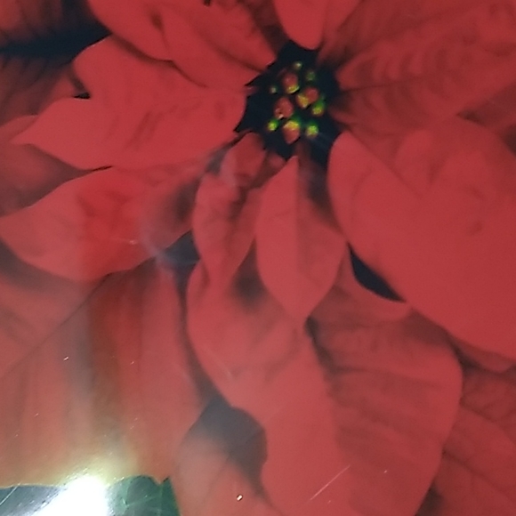 2 Christmas platters 🎄 - Picture 5 of 10